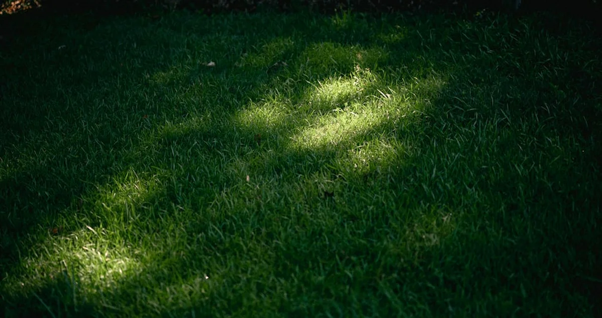 Pressure Washing Can Pay Less Than Lawn Care on Weekends