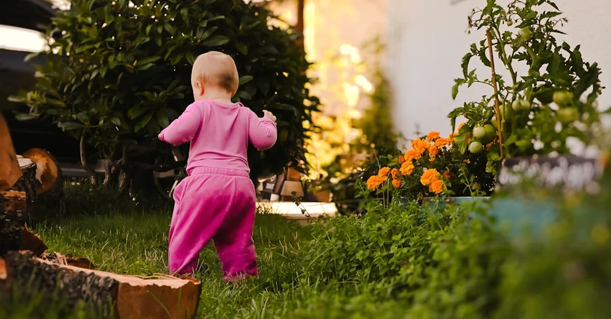 Why DIY Lawn Care Eats Up Your Family Evenings